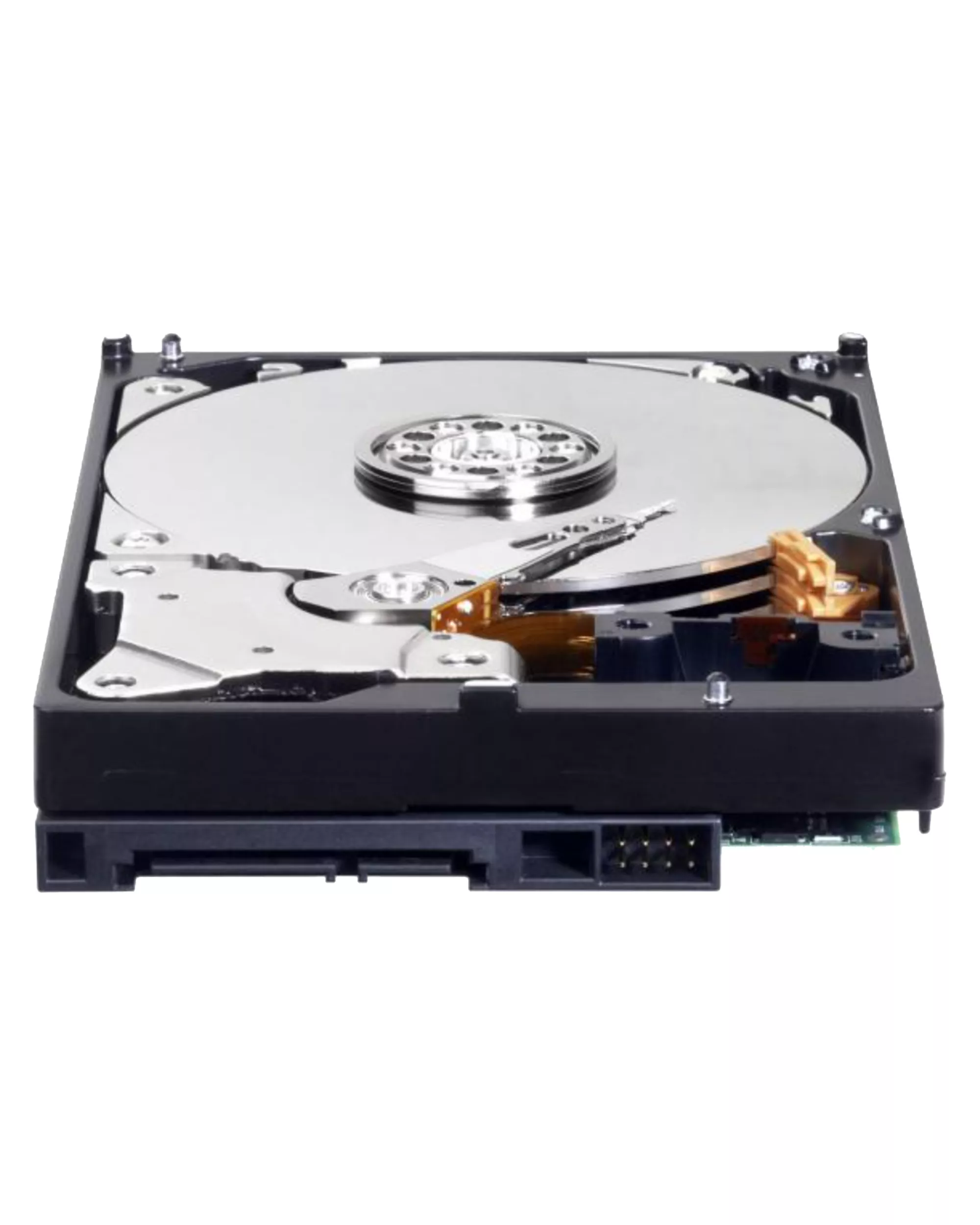 1TB WD Blue 3.5" HDD Internal Hard Drive - 7200 RPM (26mm) (Premium)