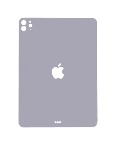 Back Skin For iPad Pro 11" 4th Gen (2022) (Space Gray)